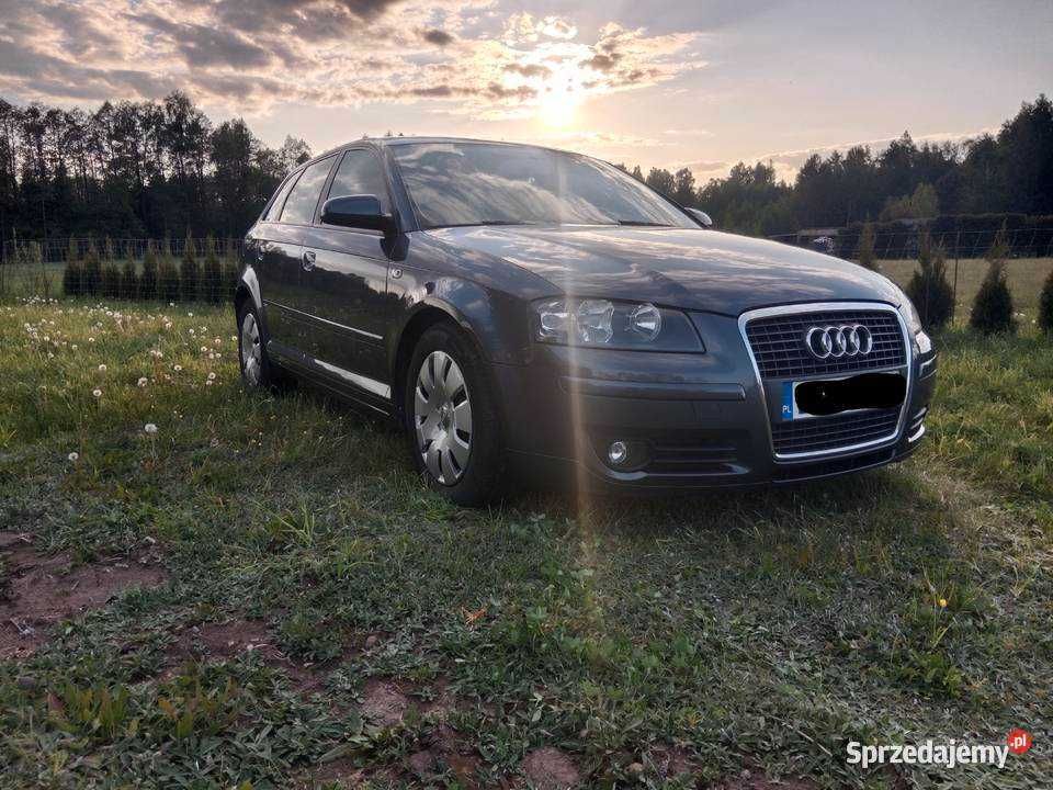 Audi A3 8p 1.9 TDI