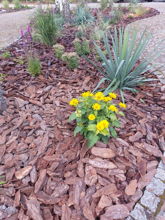 Kora sosnowa Ziemia ogrodowa uniwersalna Torf Kompost Pułtusk