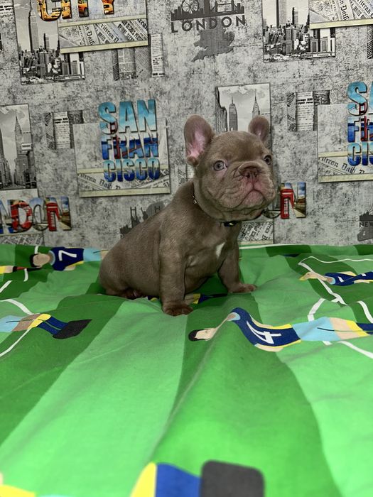 Топ якість хлопчик