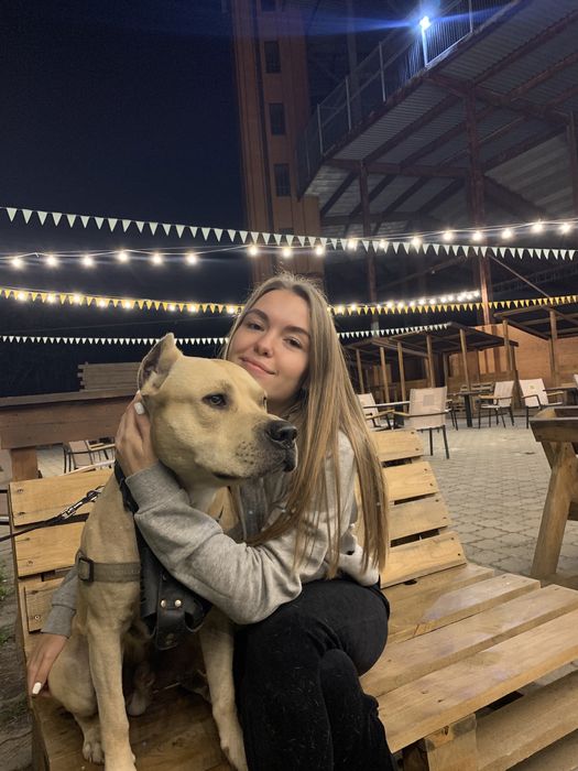 Стафф ищет девочку)))