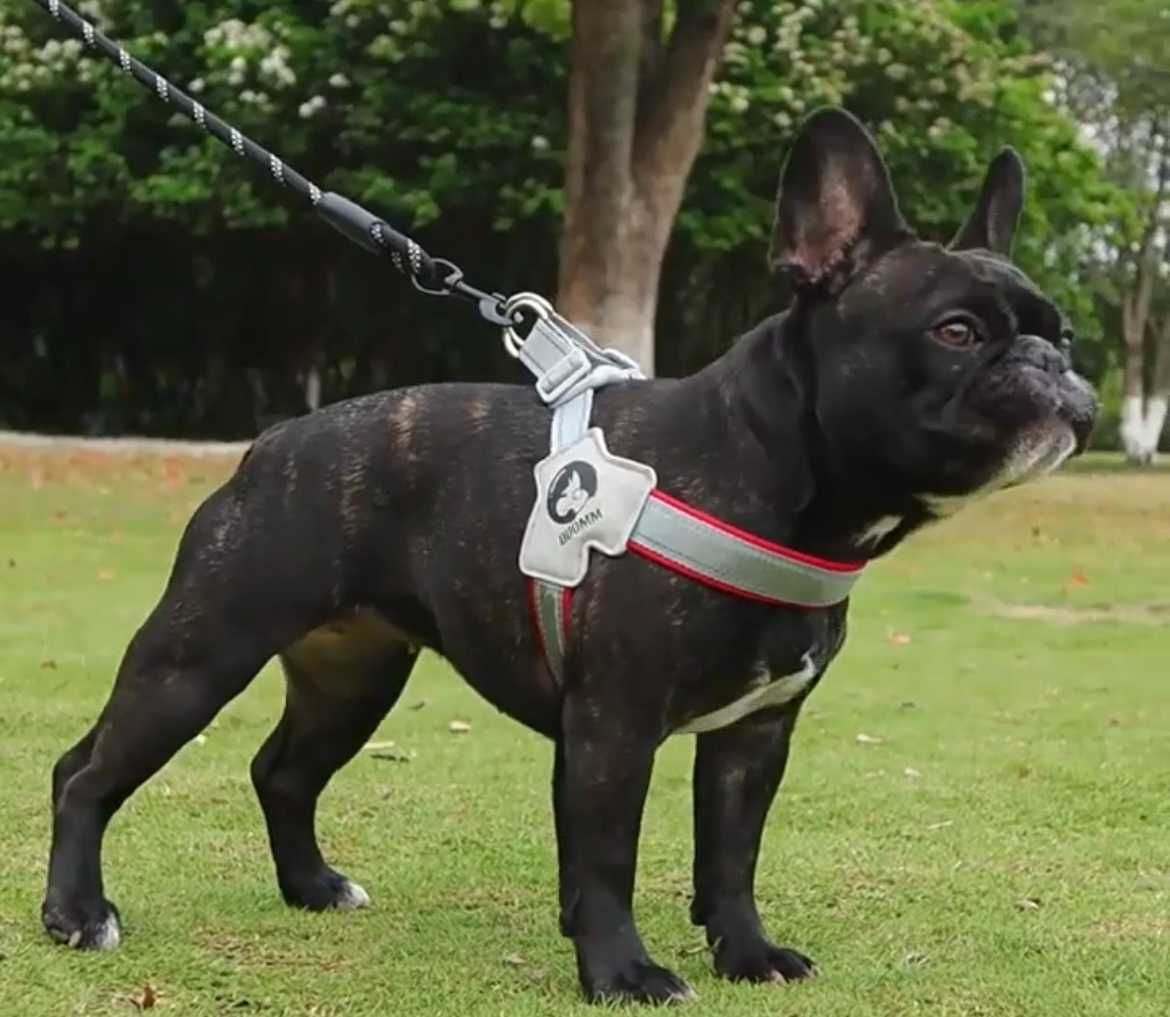 NOVO arnês/coleira de peito para cão porte pequeno/médio