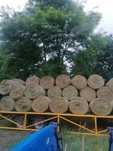Siano w belach 120 x 120