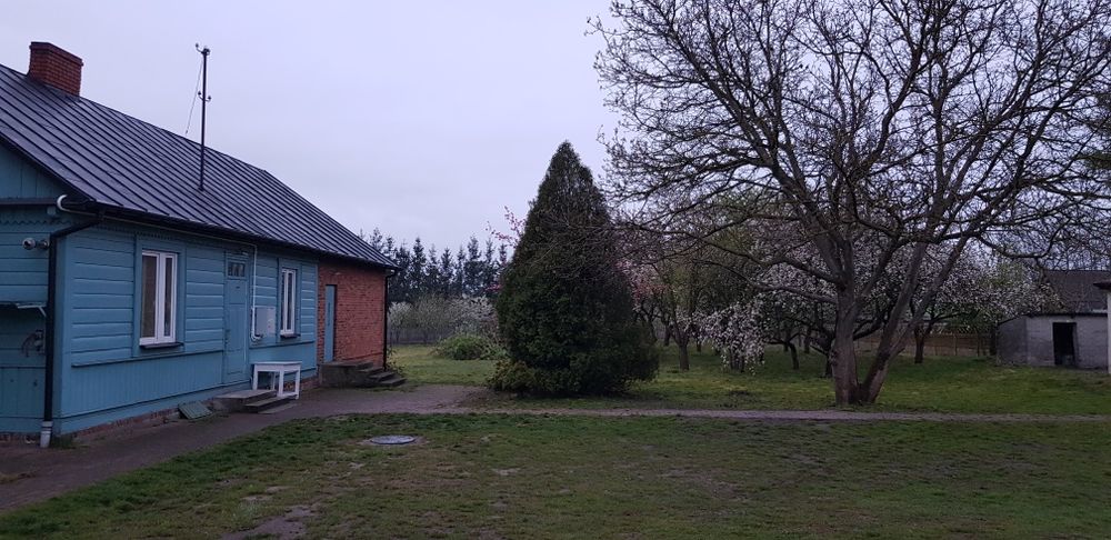 Dom do wynajęcia