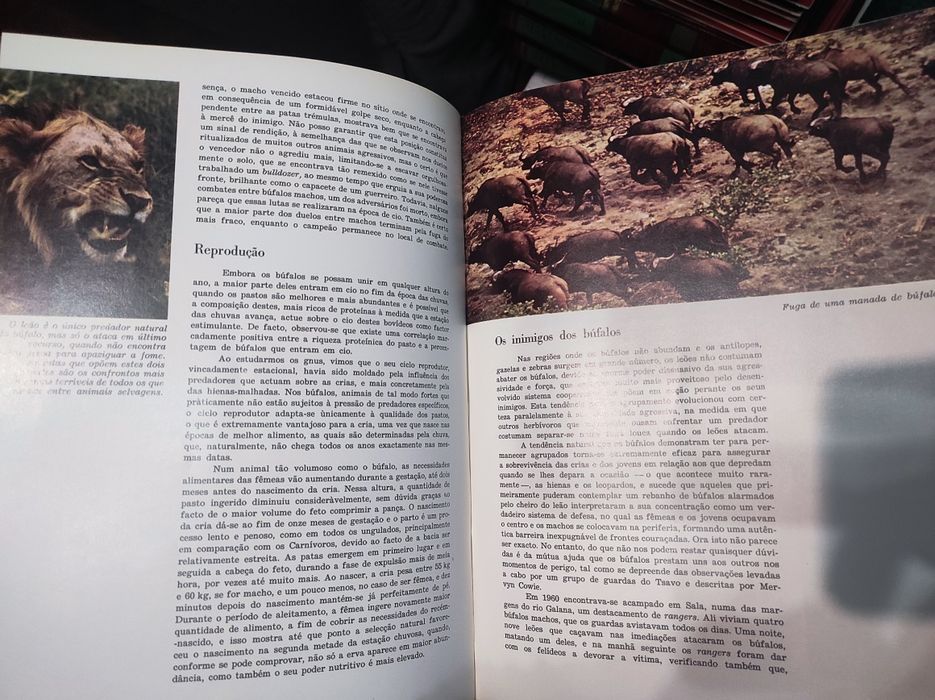 A Fauna - Publicações Alfa