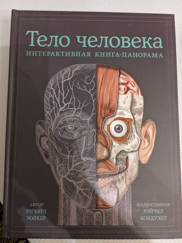 Книга Тело человека