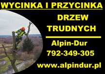 Wycinka i przycinka drzew trudnych