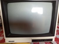 Televisão a preto e branco