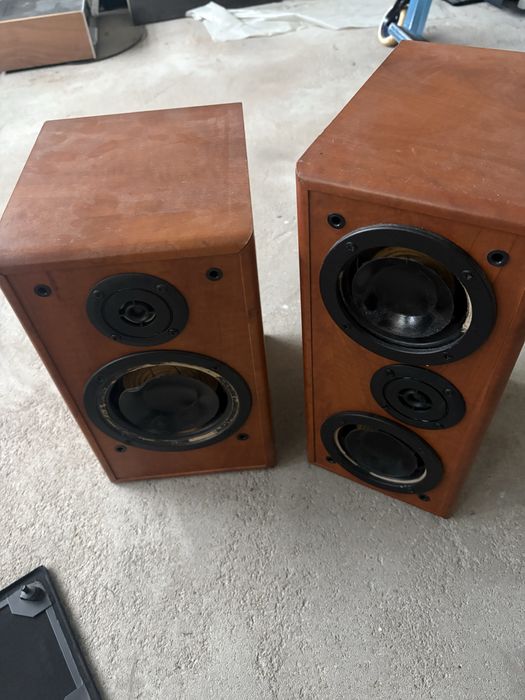 Glosniki tonsil fenix