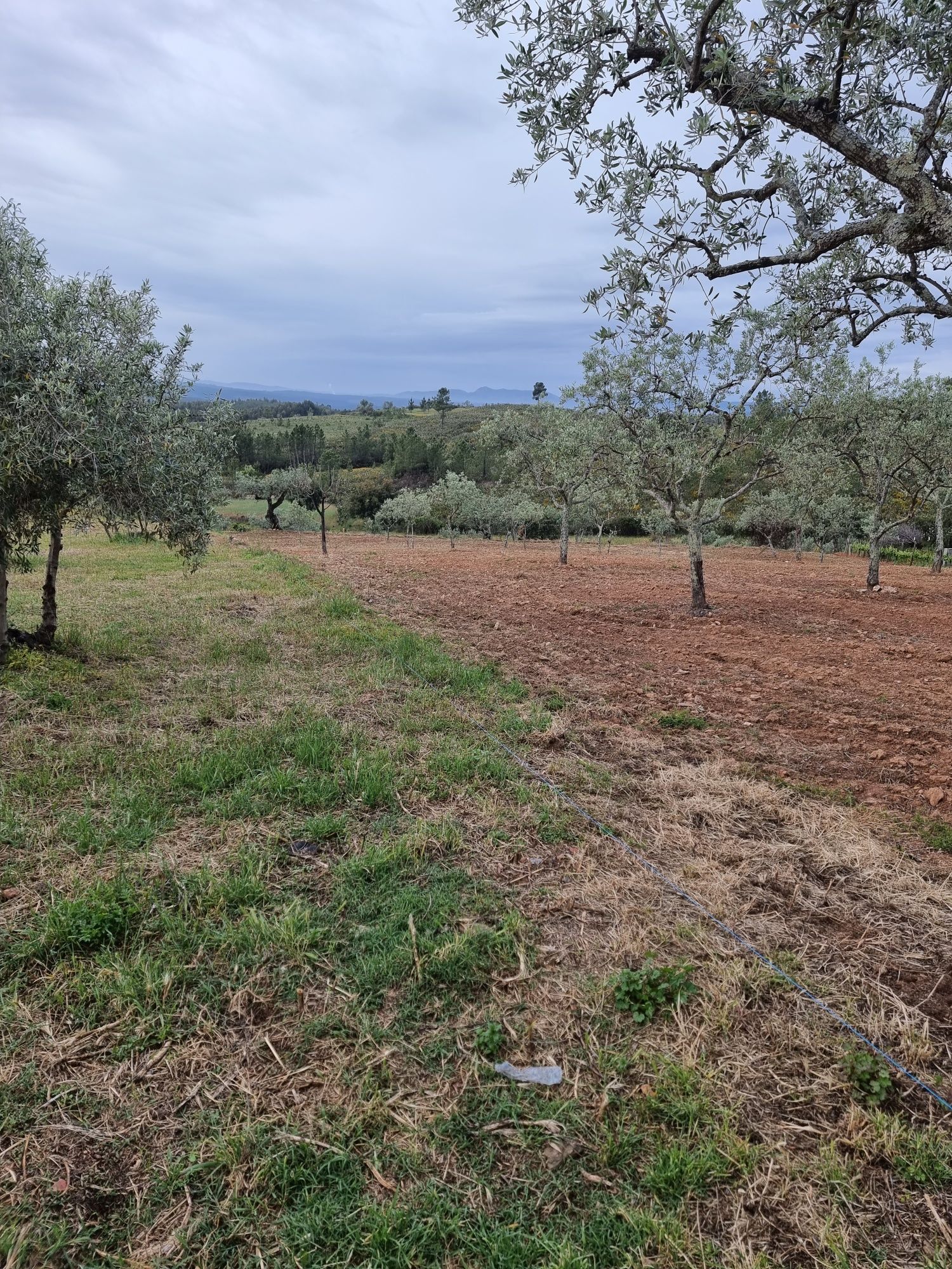 Venda de Moradia para Restaurar +Terreno 760m2 Castelo Branco