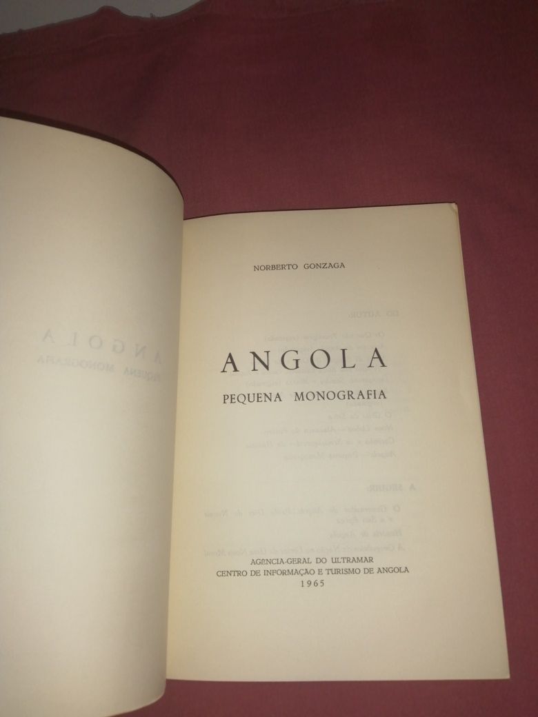 Pequena monografia de Angola