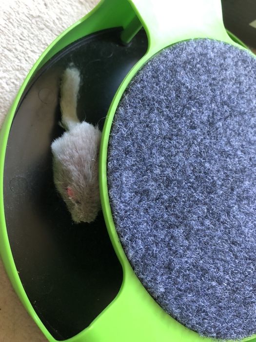 Игрушка - когтеточка, бегающая мышка для кота. Новая, одна