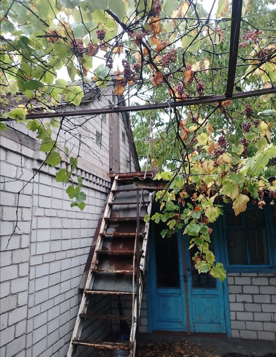 Продам Дом. Каменское Л/Б. Куриловка. Петриковский район. Лес Рядом!