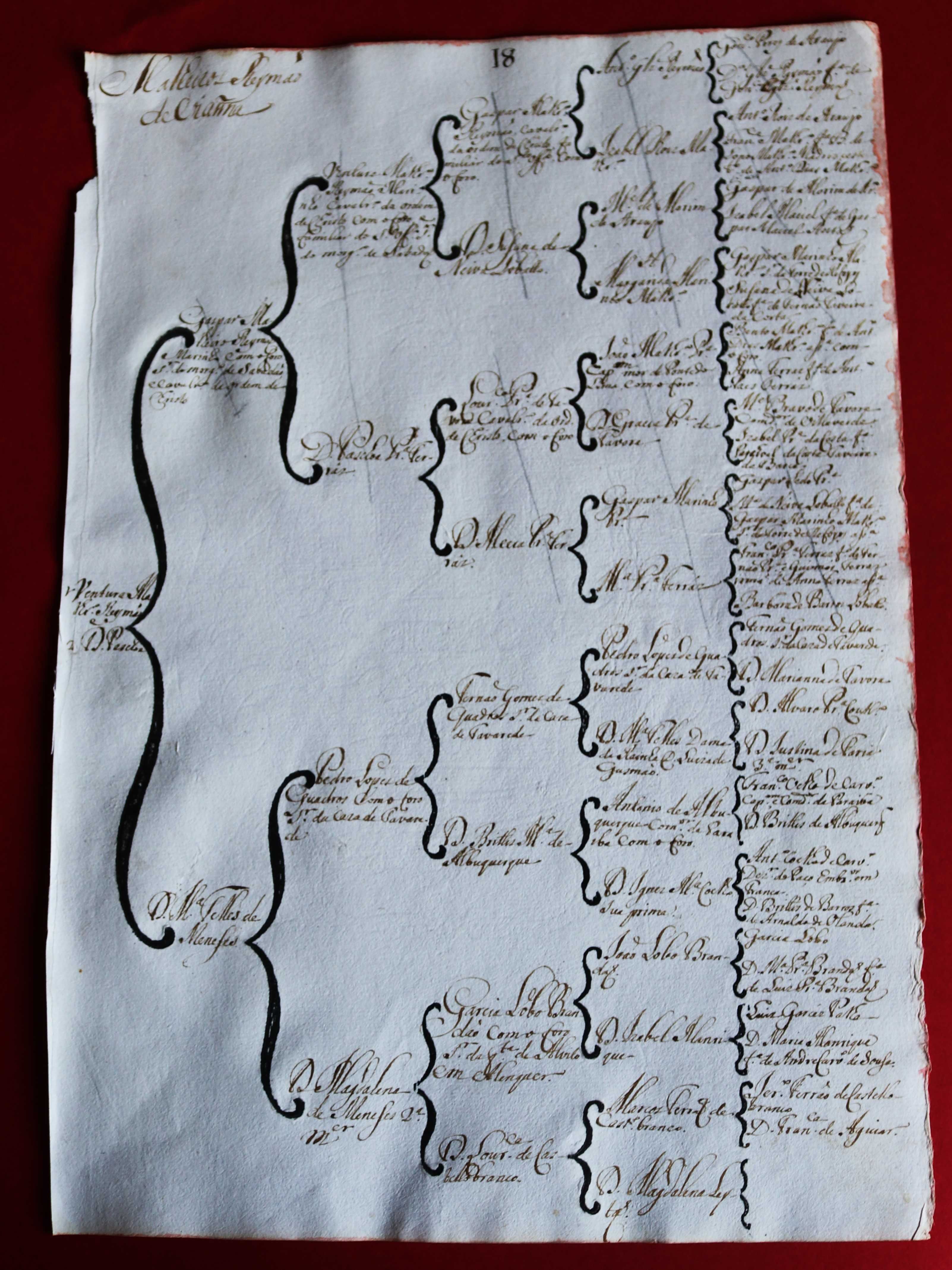 Os Malheiro Reimão de Viana árvore de costados 1746