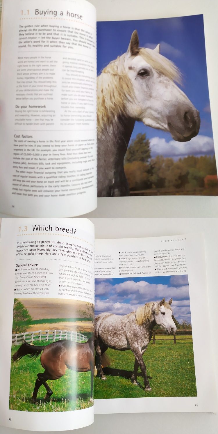 ЛОШАДЬ и Пони Руководство по уходу Complete Horse and Pony Care
