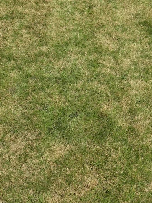 Tanio szybko solidnie.Usługi rebakiem do drewna czyszczenie kostk z ch