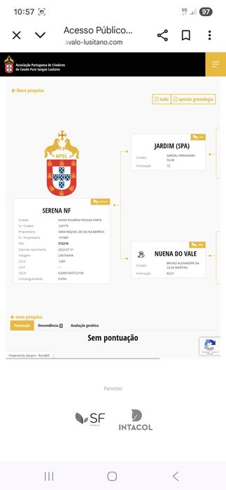 Vendo poldra com 3anos PSL