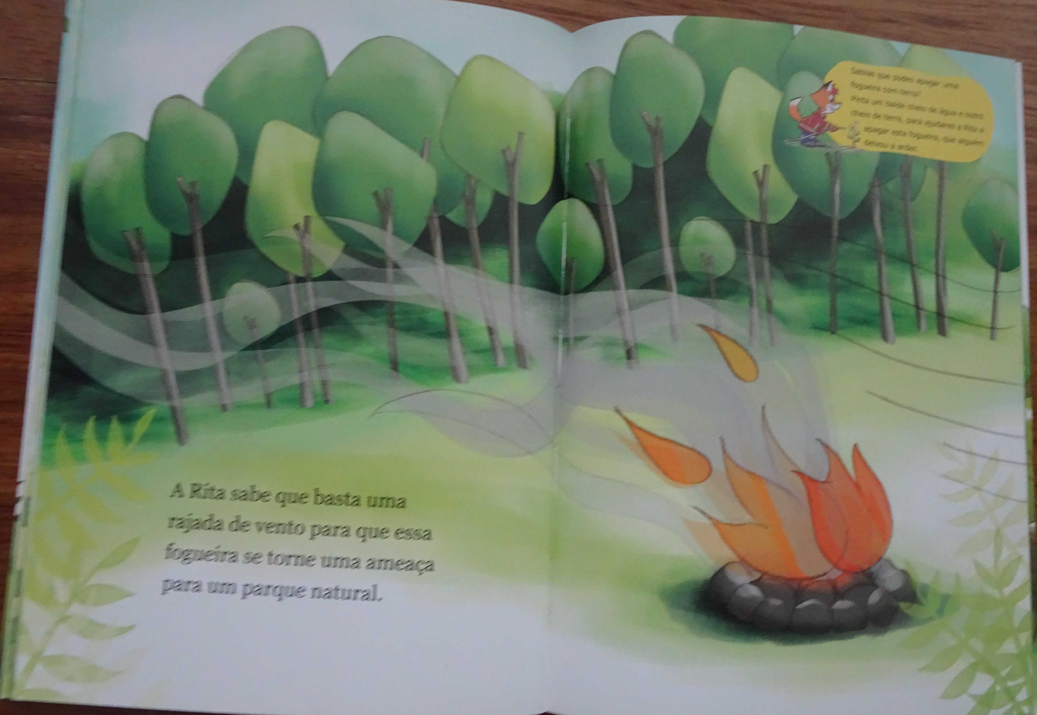 Bombeiro dos Pés À Cabeça