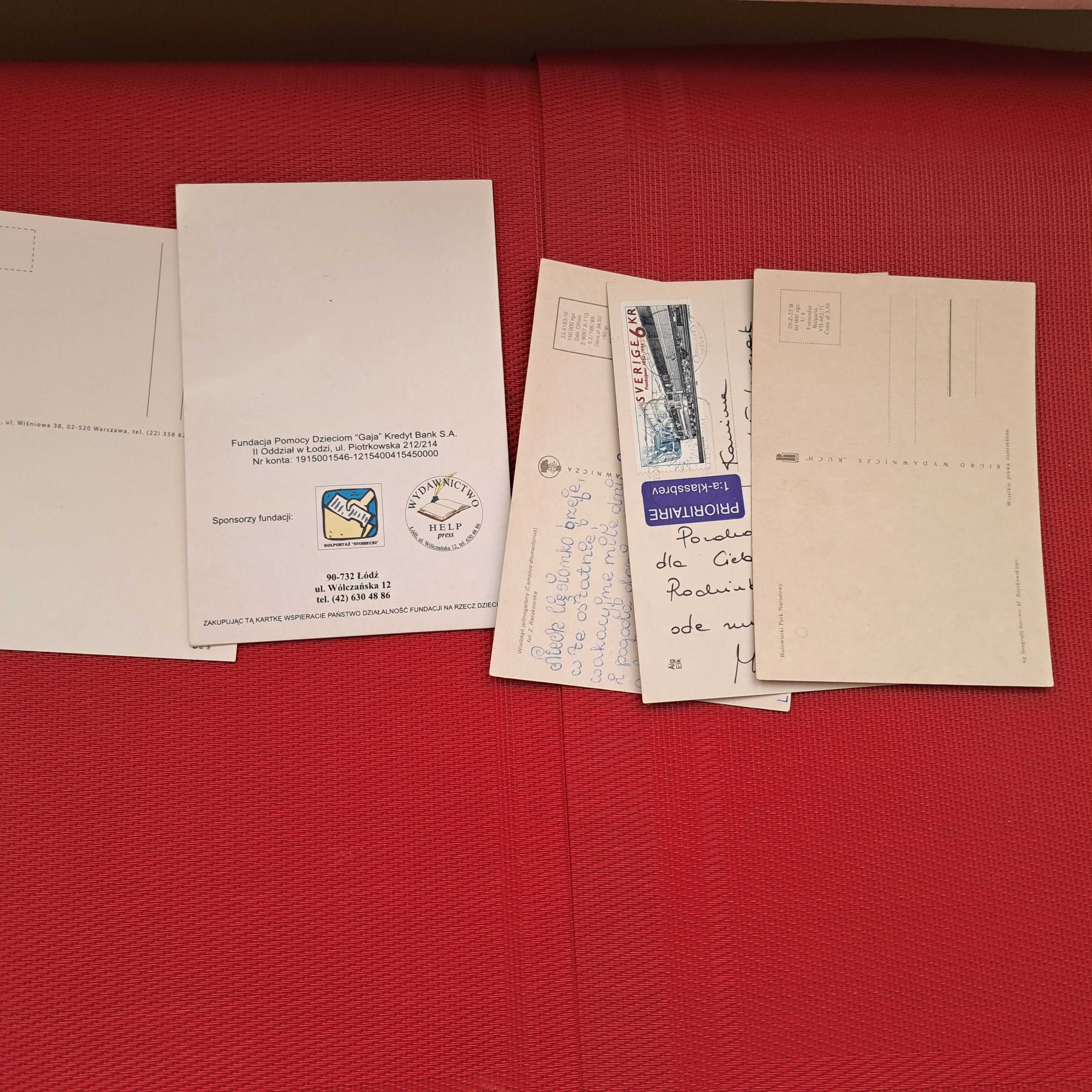 Pocztówki zwierzęta wielbłąd lew łoś i inne 5 sztuk