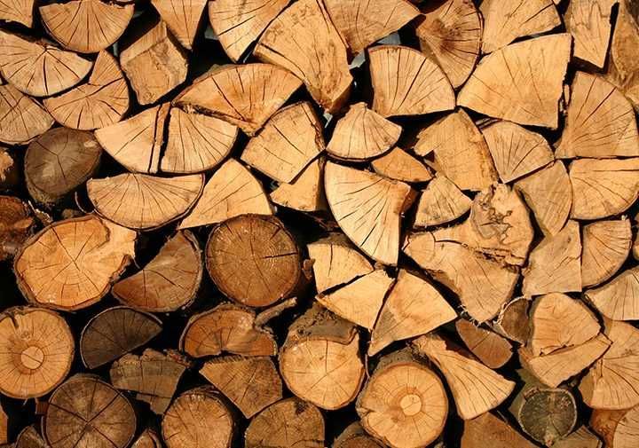 Lenha seca para venda e entrega