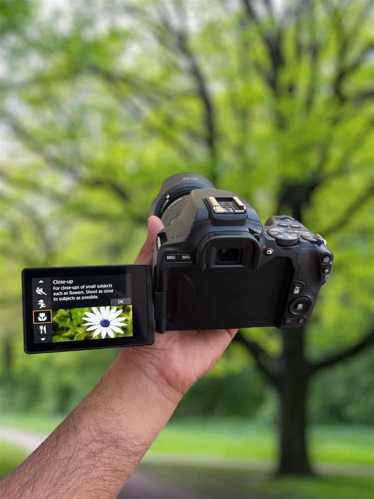 Canon Eos 250D WiFi/4k video/ecrã tactile com lente 18-55mm e bolsa