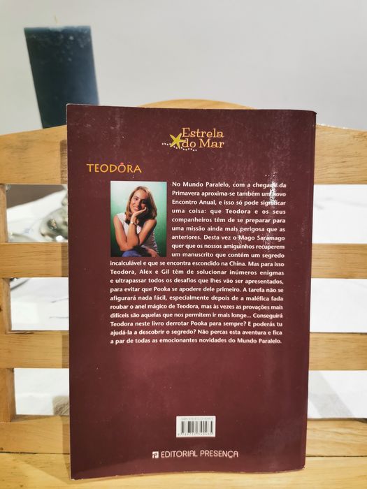 Teodoro e o segredo do manuscrito chinês