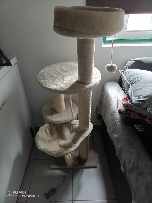 Arranhador novo gato
