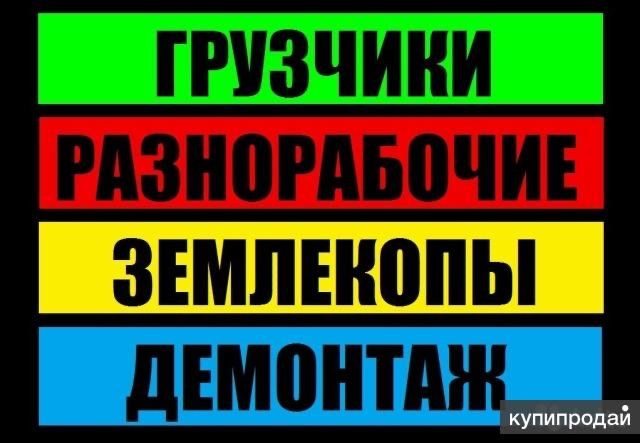 услуги грузчиков послуги вантажників