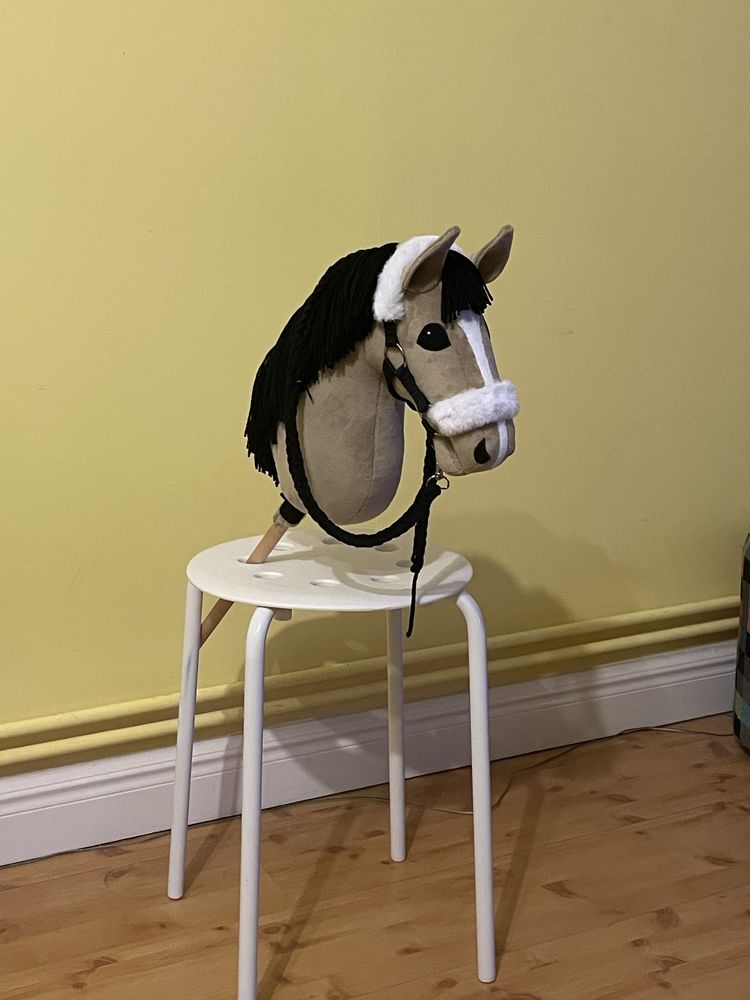 Hobby horse koń na kiju