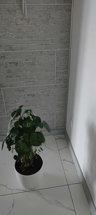 Wykończenia wnętrz remonty płytki gładzie malowanie schody podłogówka