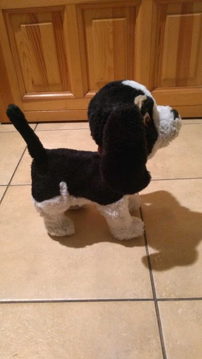 Szczekający piesek Bobby