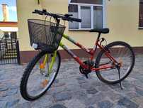 Rower damski z koszykiem