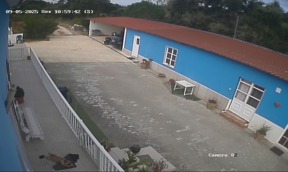 Arrendo casa a 5 minutos do cartaxo