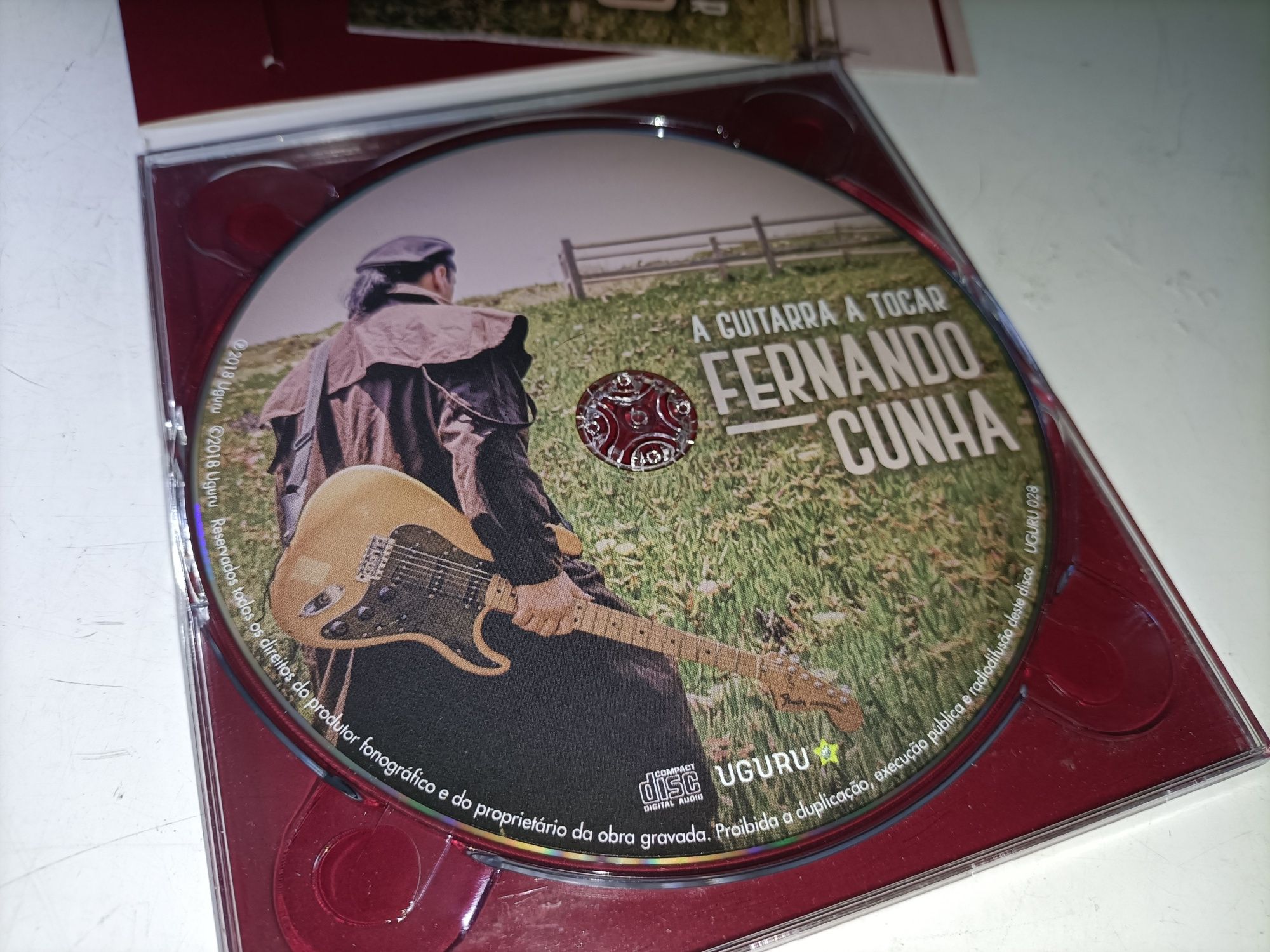 Fernando Cunha_A guitarra a tocar