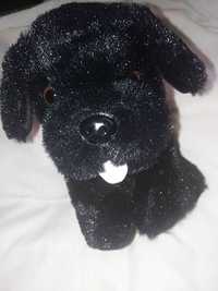 Pequeno cão preto peluche novo. 25x15cm