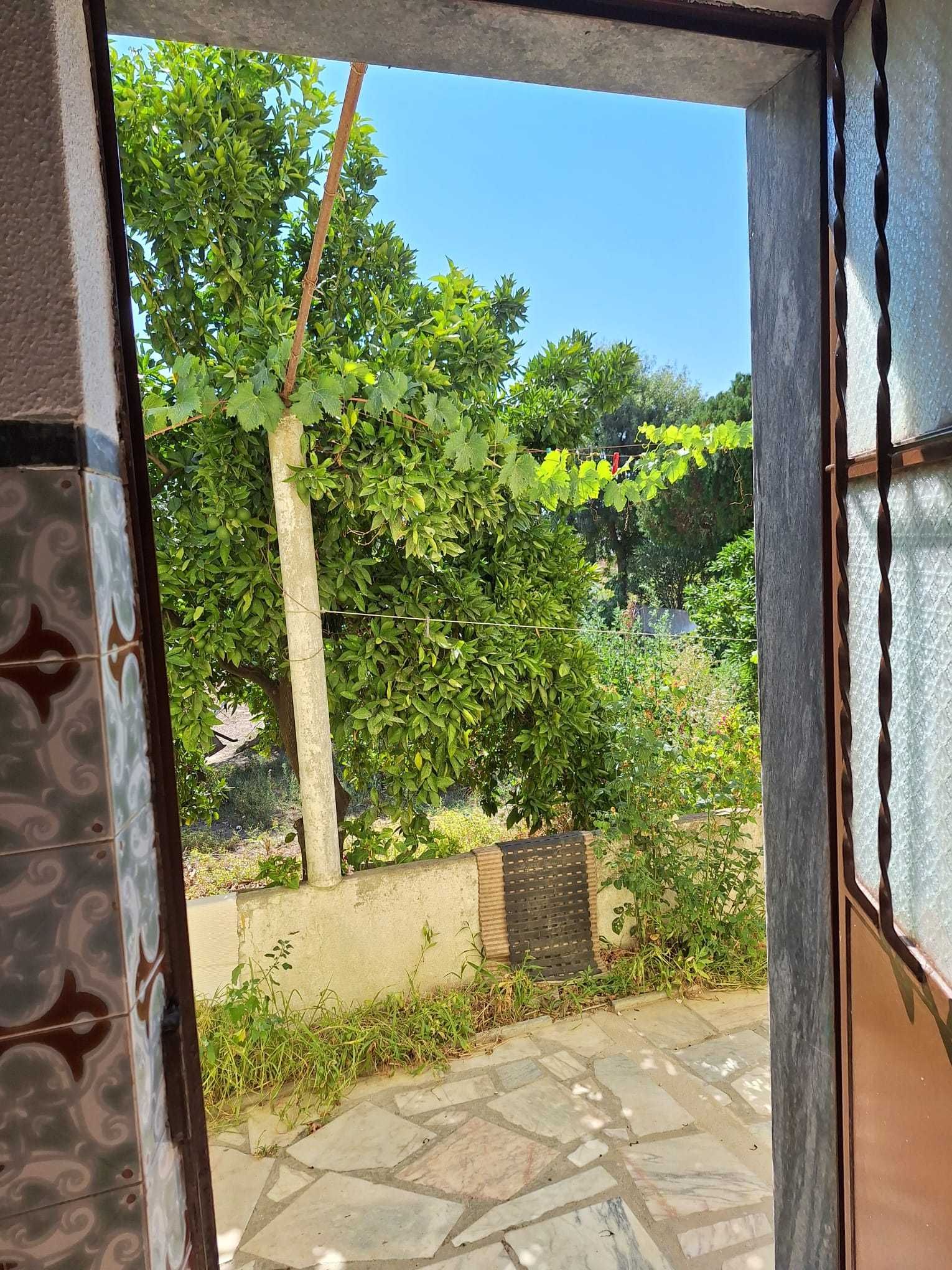 DUAS casas geminadas em Ermidas-Sado