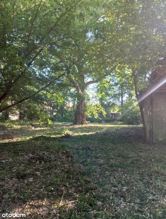 Wyjątkowa,1-ha działka z domem do renowacji 10min od Legnicy i Lubina