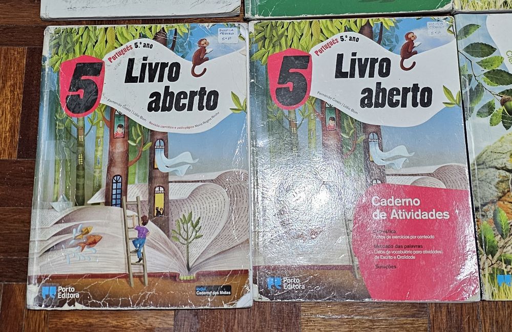 Manuais e cadernos de atividades 5°ano