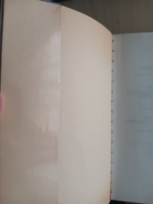 Turgueniev, Primeiro Amor