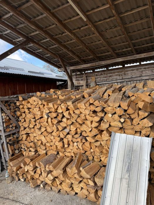 Дрова різних порід