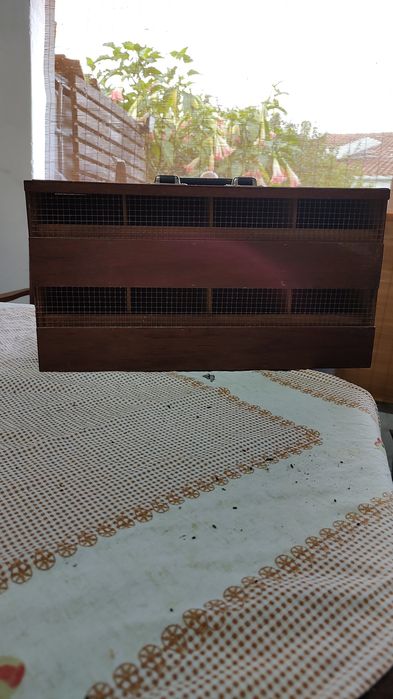 Transportadora de aves