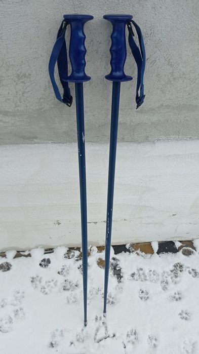 Палкі для спортивних прогулок