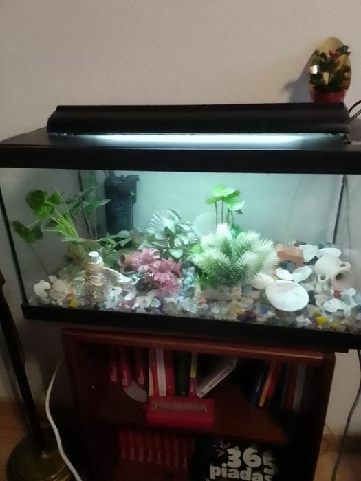 Aquário de peixes ornamentais com filtro, termostato,, lâmpadas Led