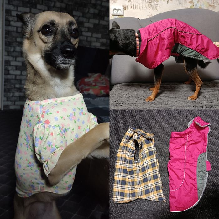 Попона. Кофтинка. Жилетка. Накидка. Безрукавка. Попонка для собаки