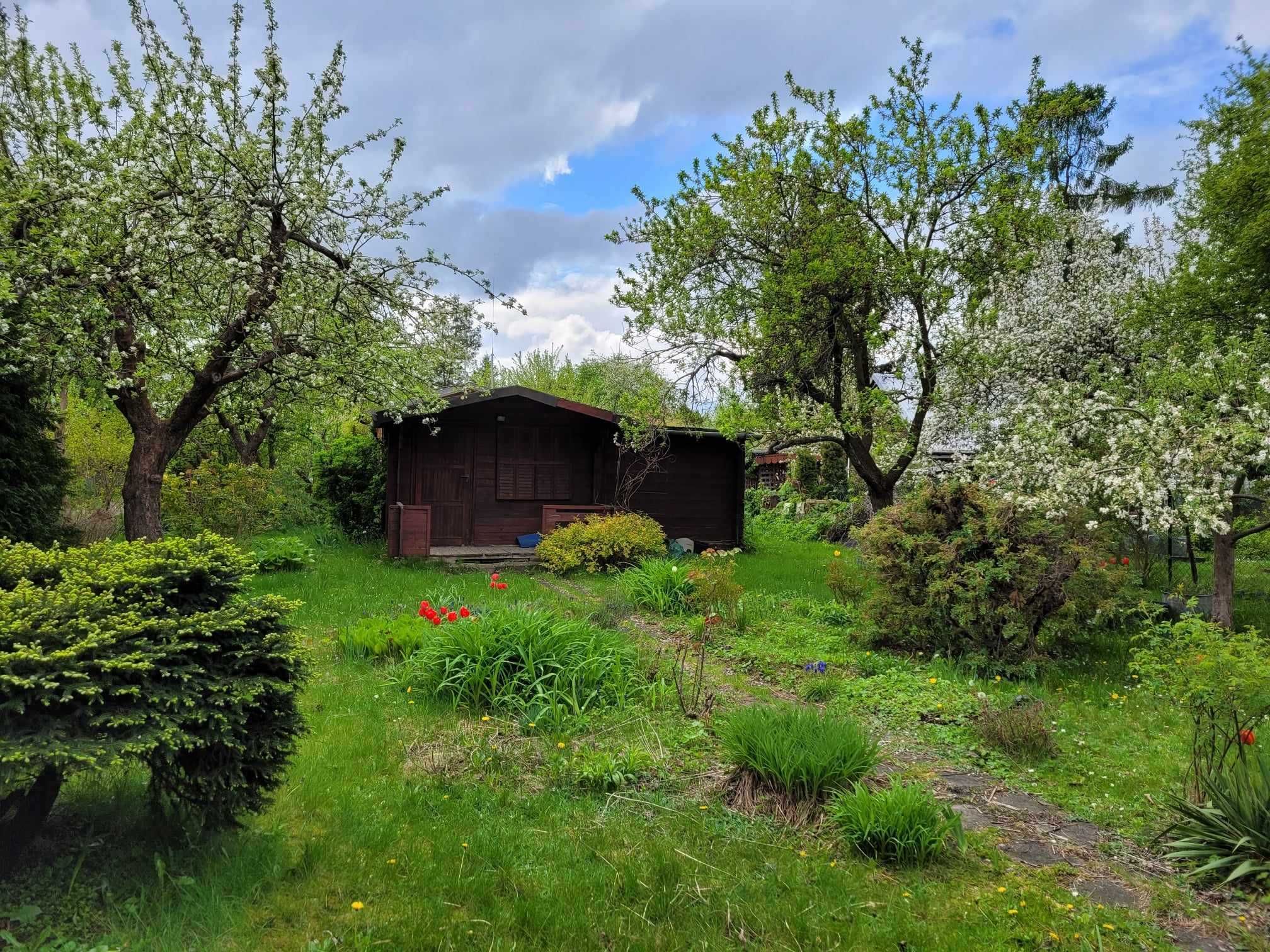 Na sprzedaż działka ROD Park Dolny