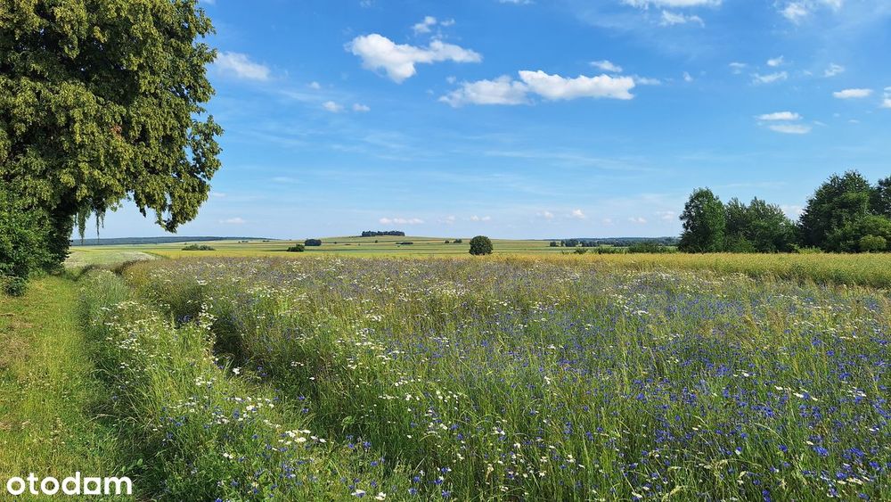 Działka budowlana MR_20 km do Lublina_piękny widok