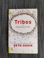 Tribos - Seth Godin (portes incluídos)