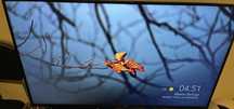 Tv 43 polegas smart tv 4k