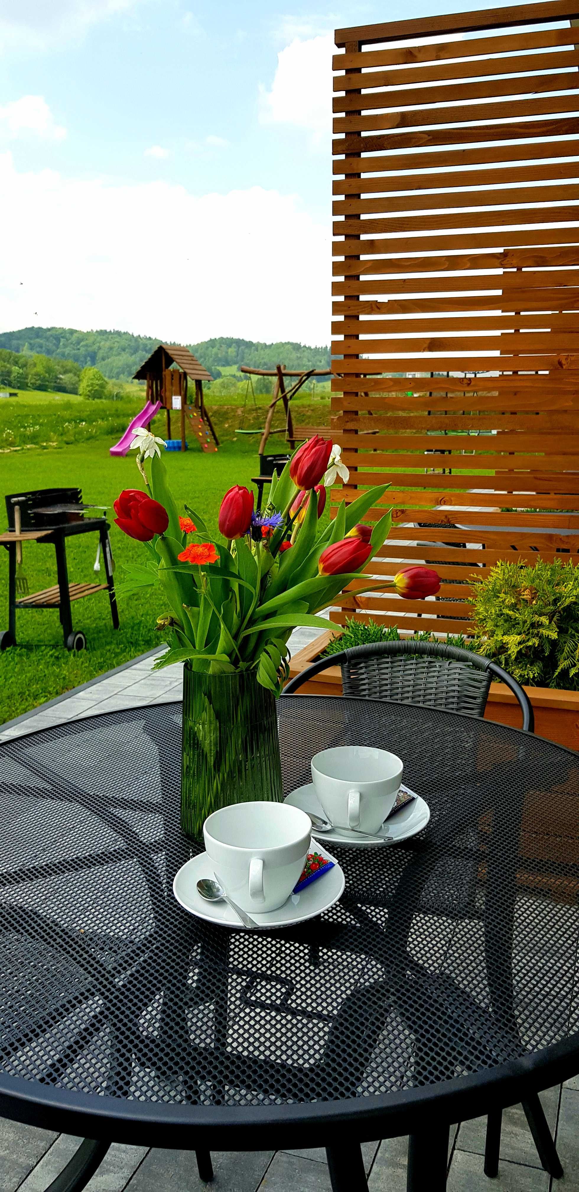 Bieszczady noclegi Apartament Polańczyk Myczków Solina