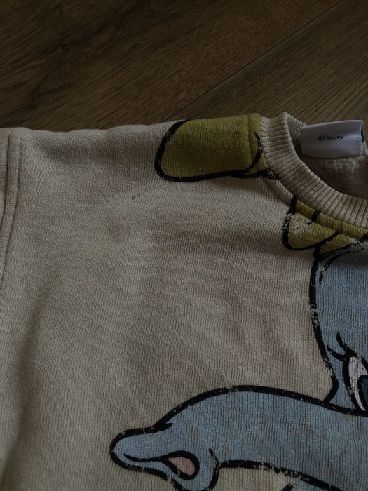 Кофта худі Dambo Zara на флісі 86