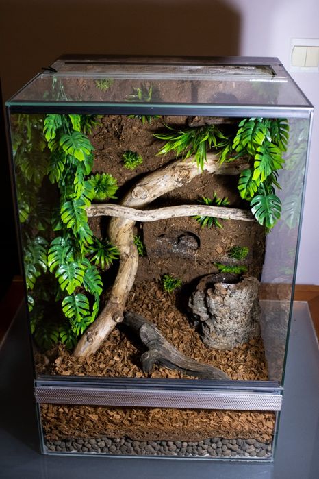 Terrarium 45x45x60 dla gekona orzesionego